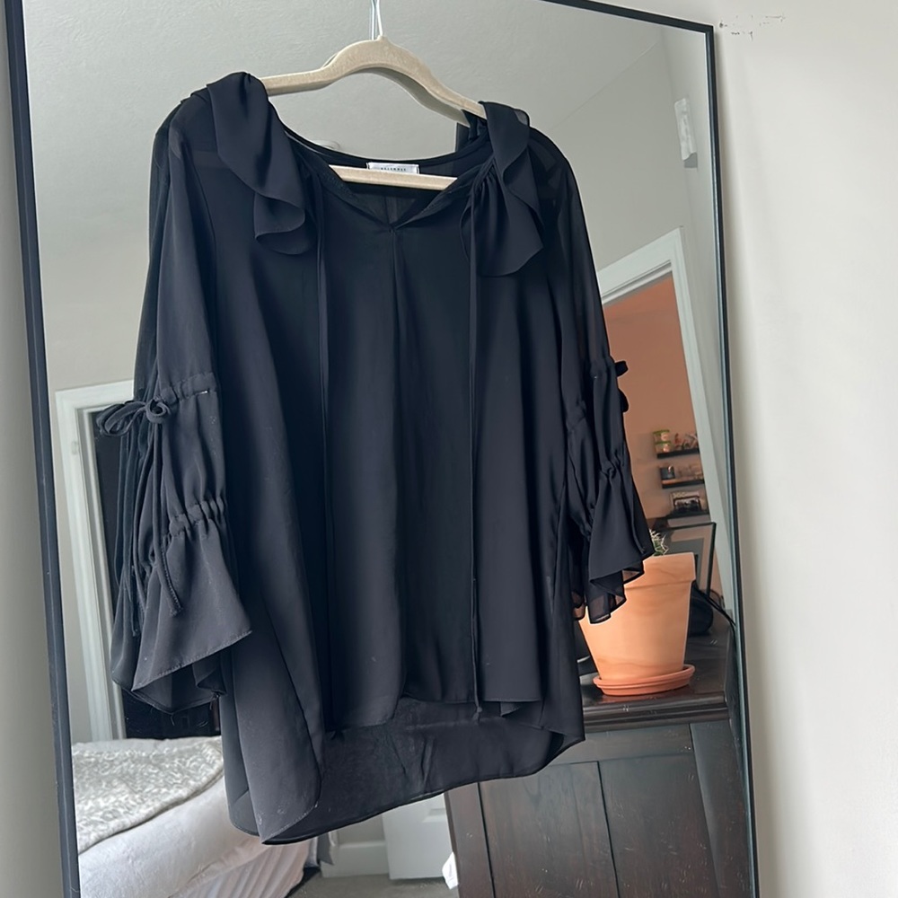 Sheer Blouse